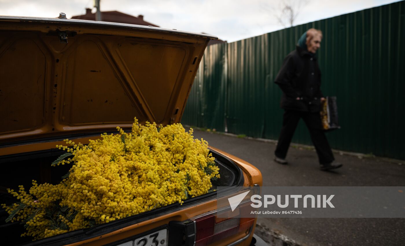 Russia Flower Market