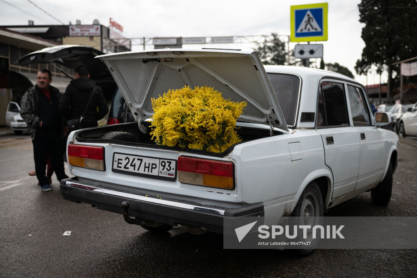 Russia Flower Market