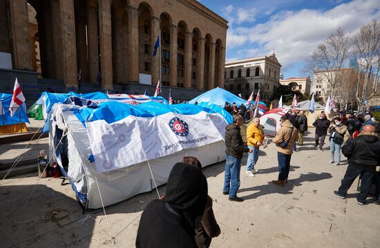 Georgia Protest