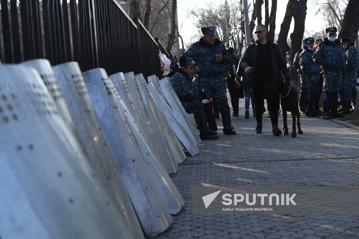 Armenia Protest