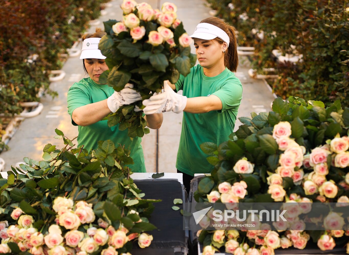 Russia Flowers