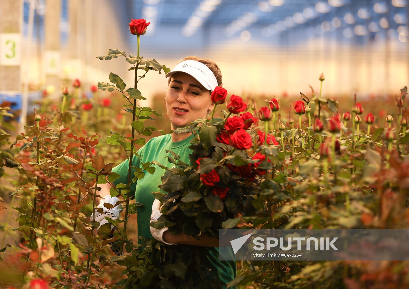 Russia Flowers