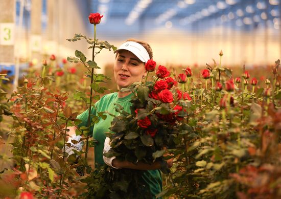 Russia Flowers