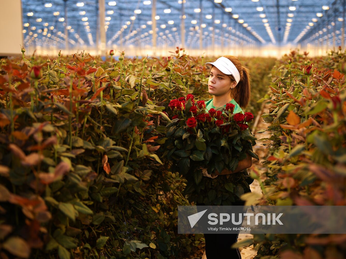 Russia Flowers
