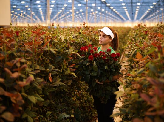 Russia Flowers