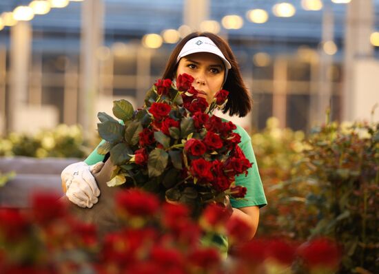 Russia Flowers