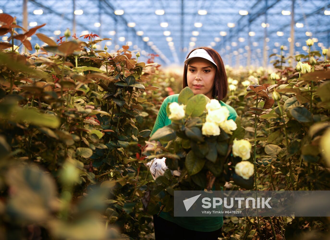 Russia Flowers