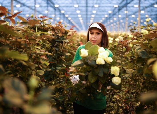 Russia Flowers