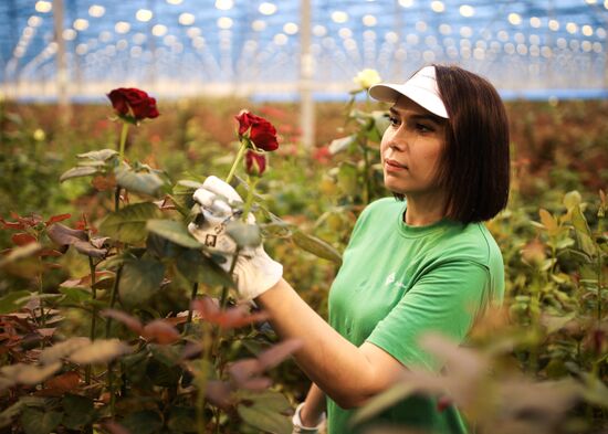 Russia Flowers