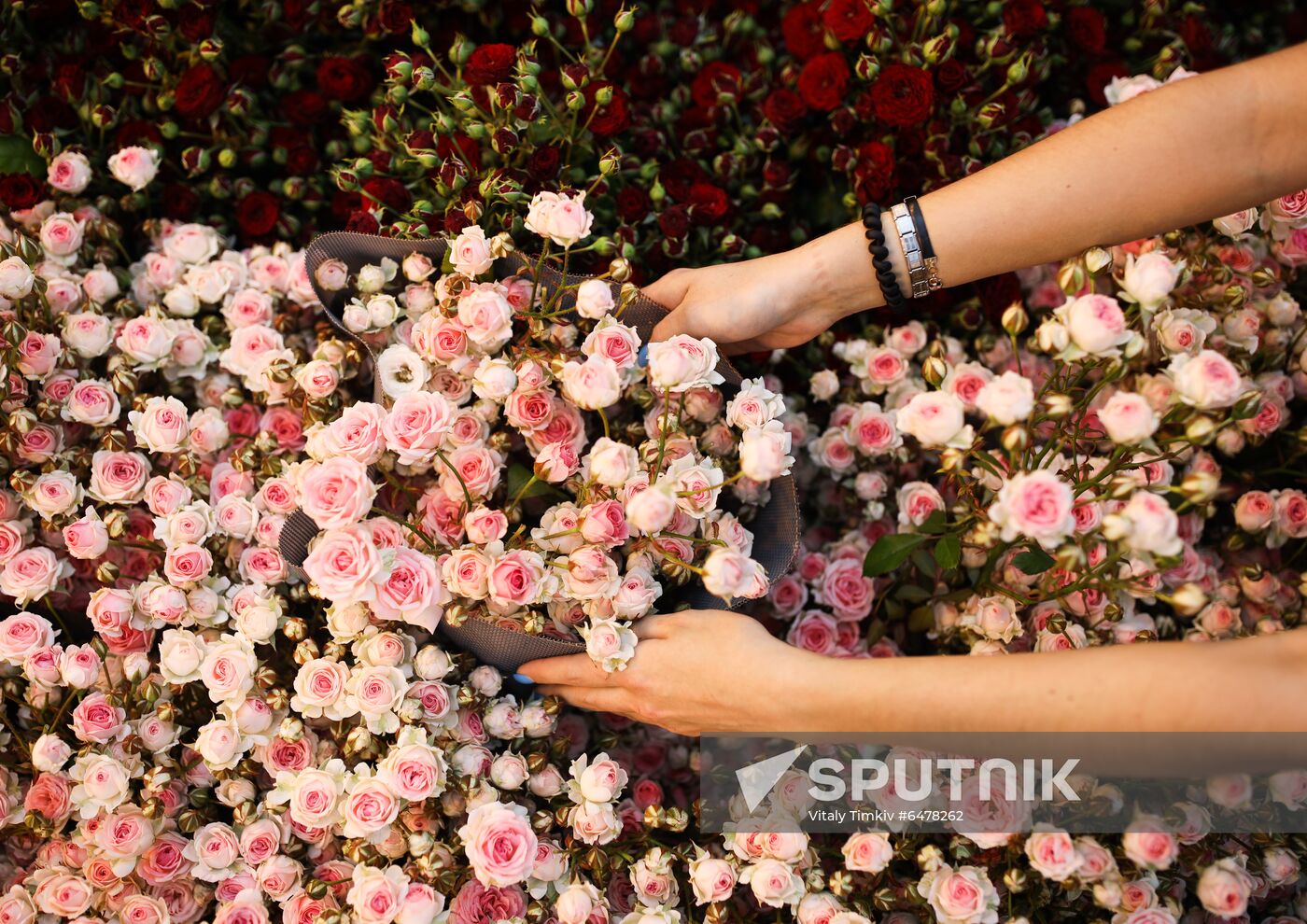 Russia Flowers