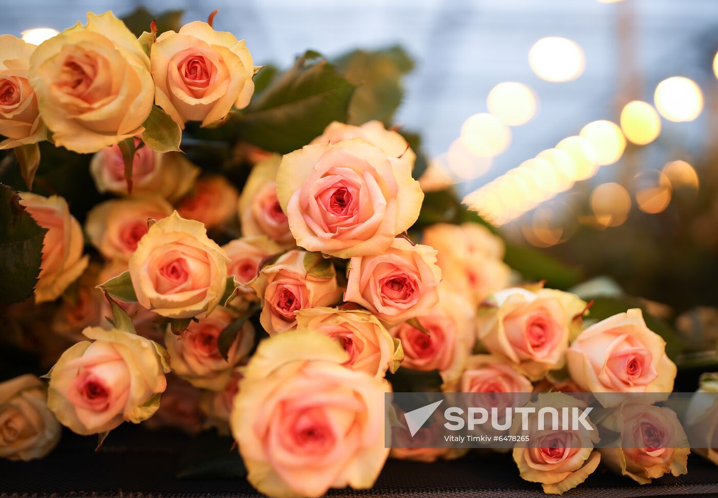 Russia Flowers