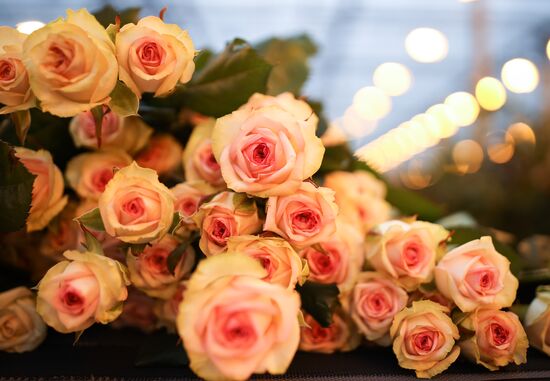 Russia Flowers