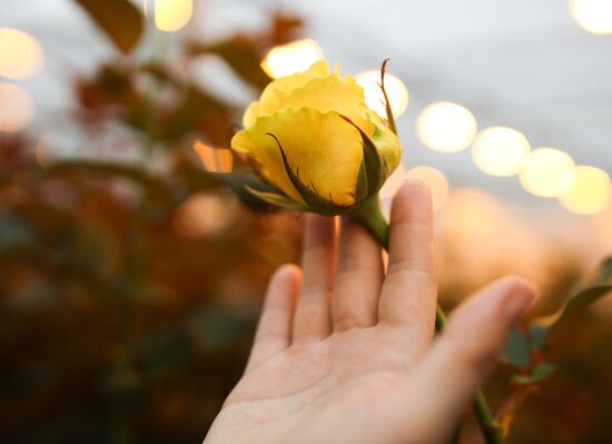 Russia Flowers