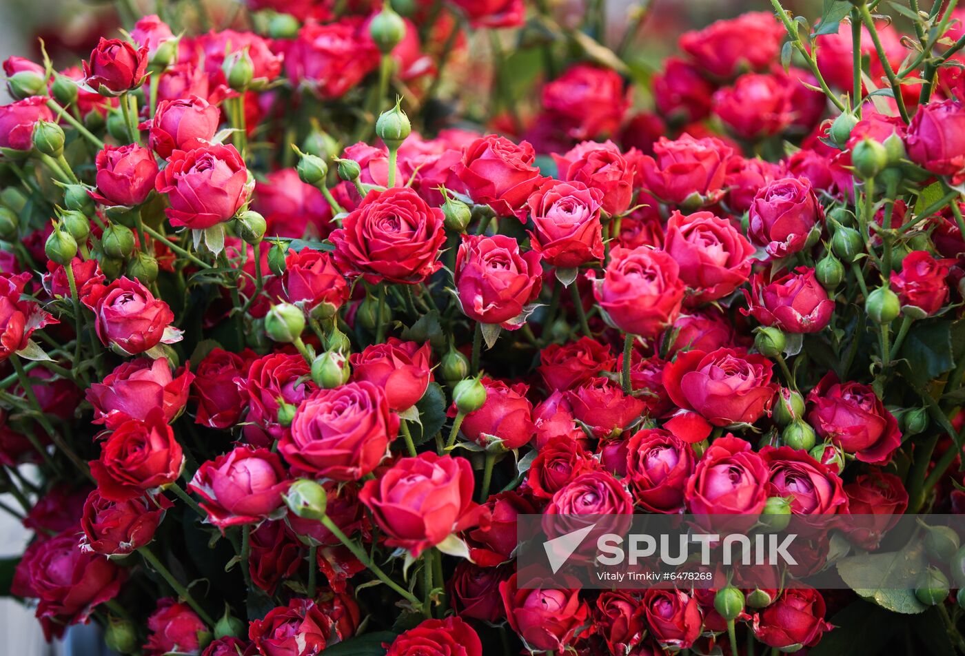 Russia Flowers