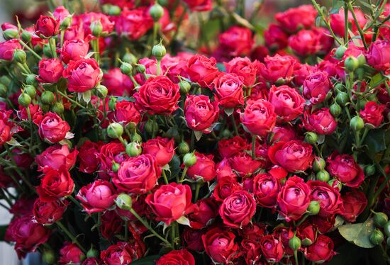 Russia Flowers