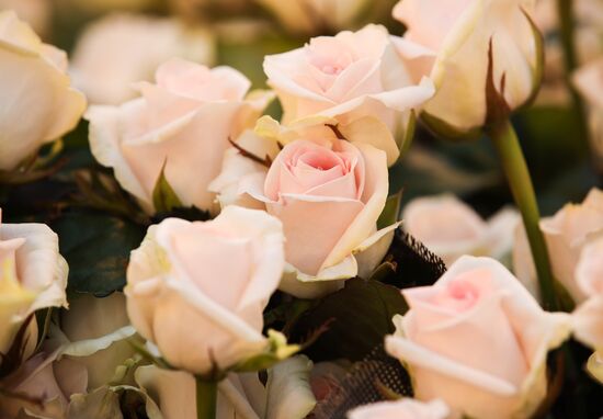 Russia Flowers