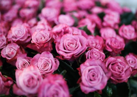 Russia Flowers