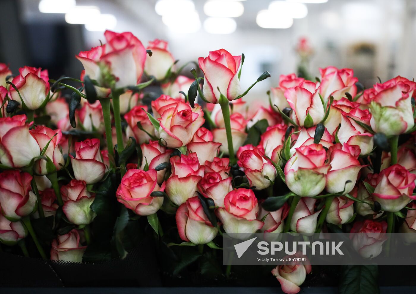 Russia Flowers