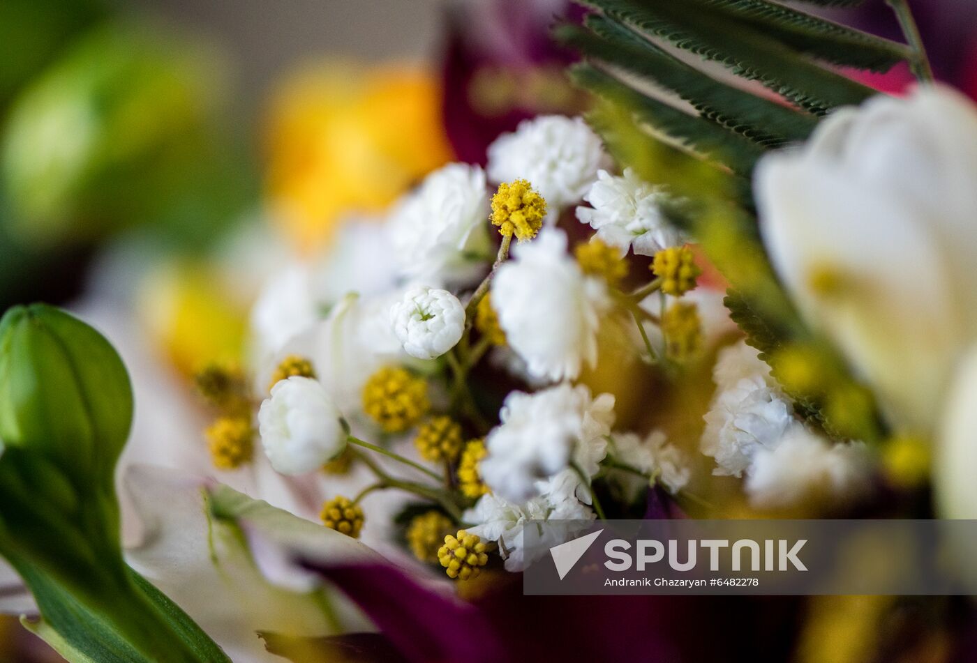 Armenia Flowers