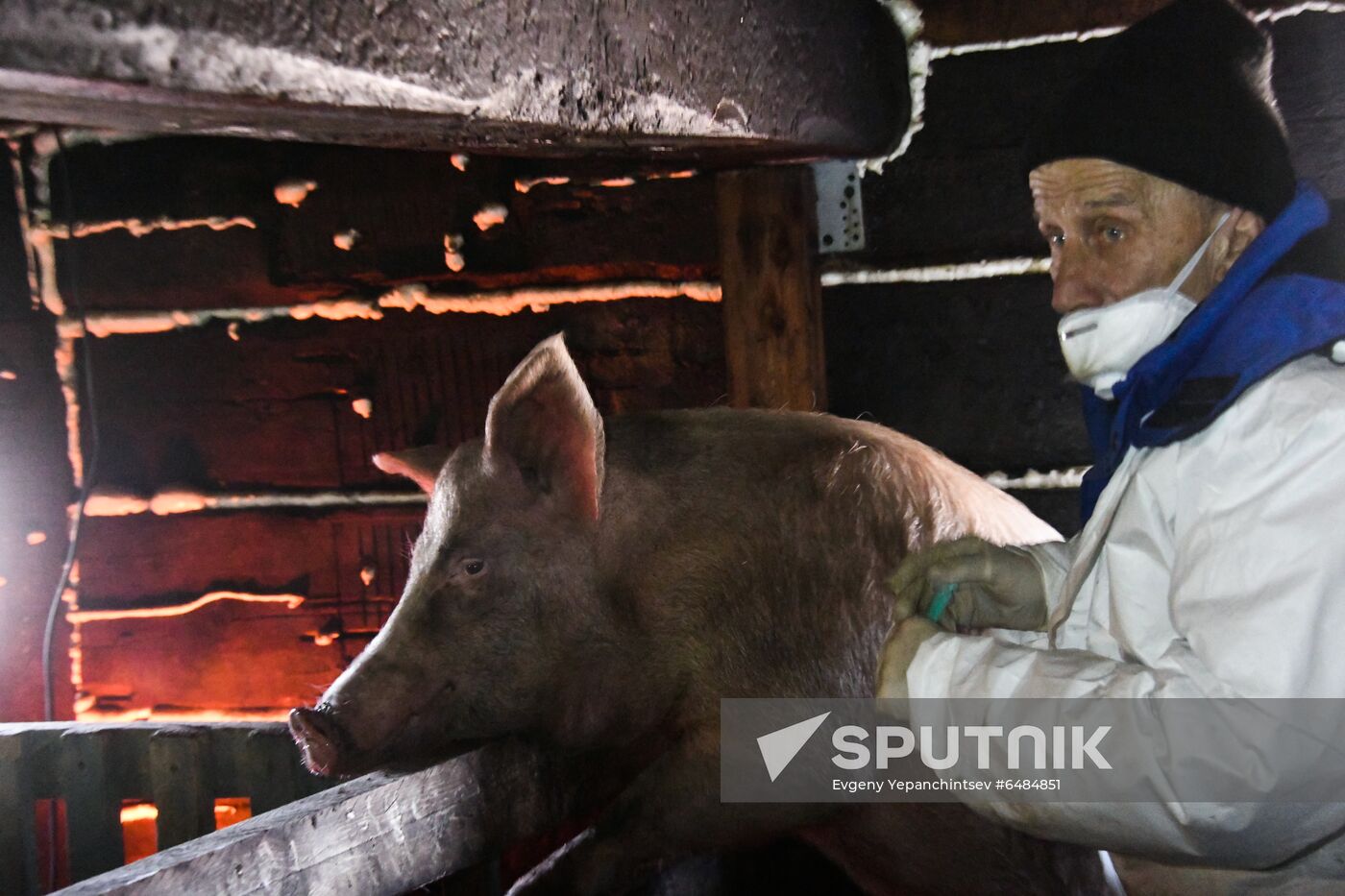 Russia African Plague Outbreak
