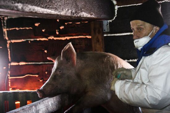 Russia African Plague Outbreak