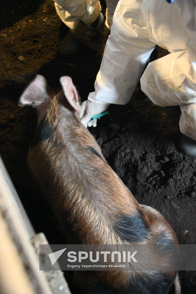 Russia African Plague Outbreak