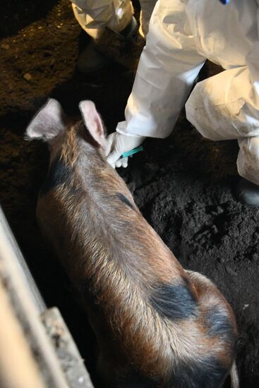 Russia African Plague Outbreak