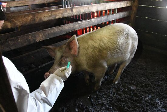 Russia African Plague Outbreak