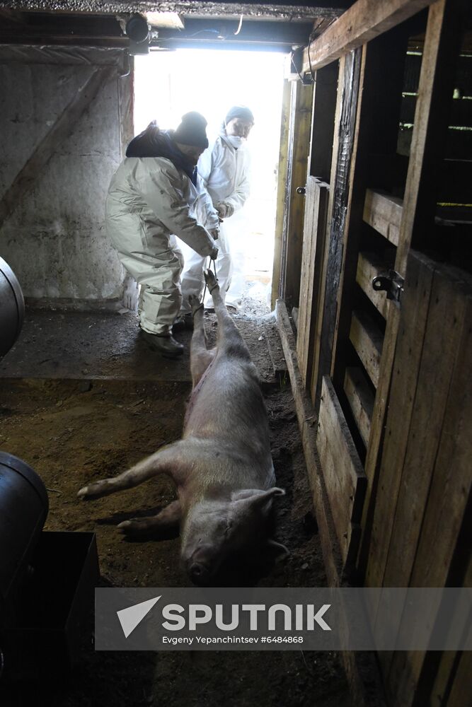 Russia African Plague Outbreak