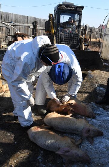 Russia African Plague Outbreak