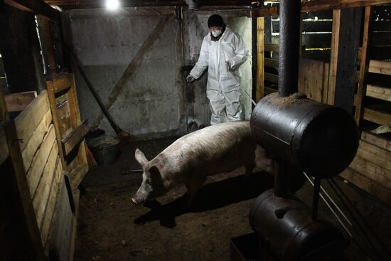 Russia African Plague Outbreak