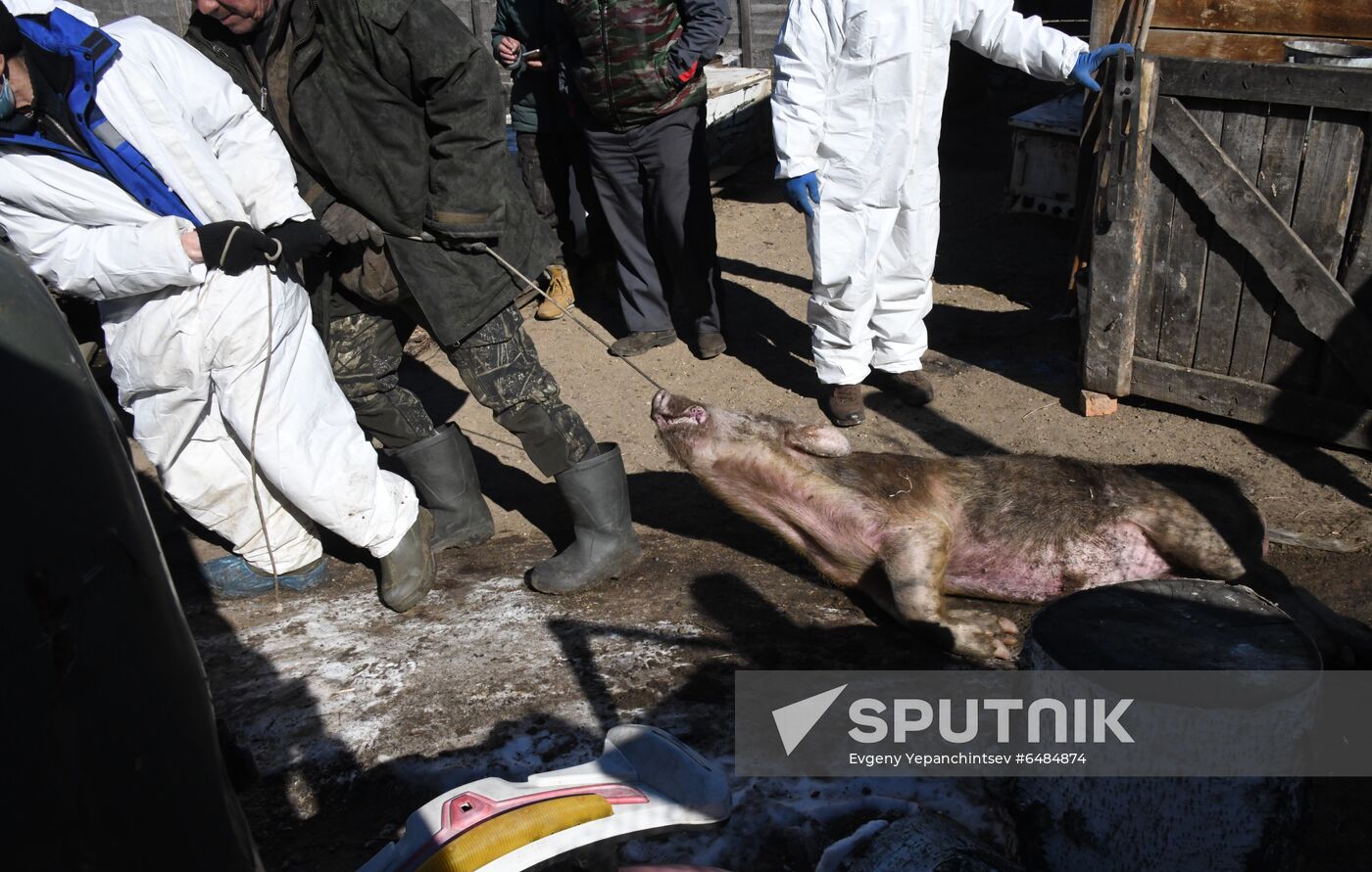 Russia African Plague Outbreak