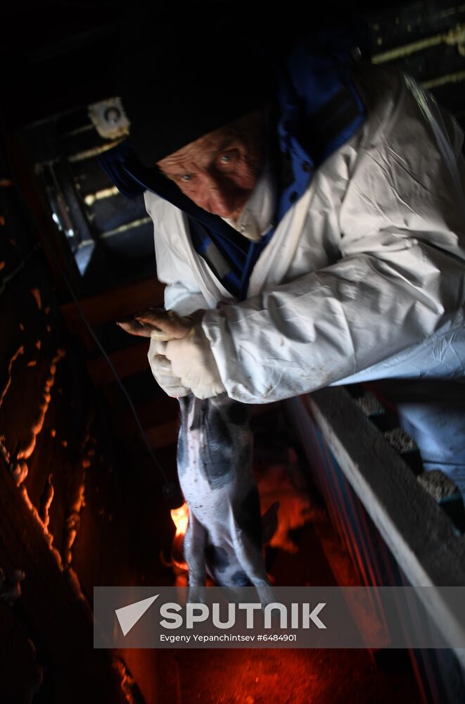 Russia African Plague Outbreak