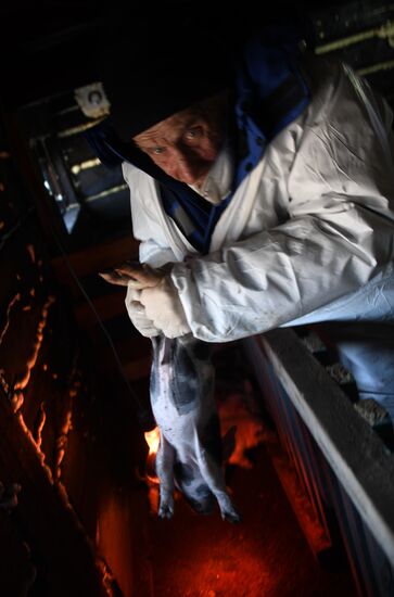 Russia African Plague Outbreak