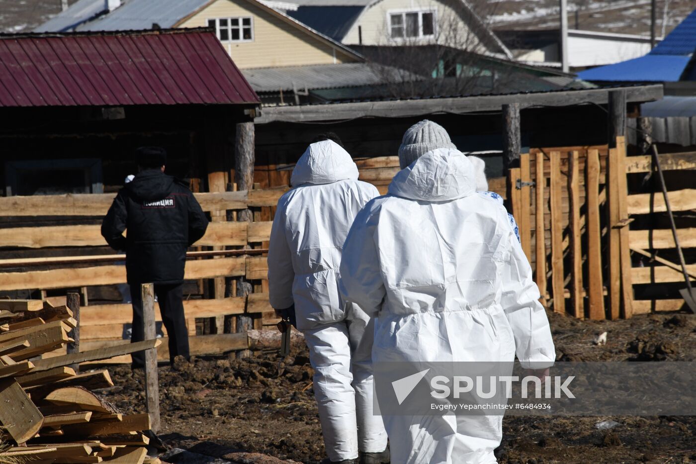 Russia African Plague Outbreak