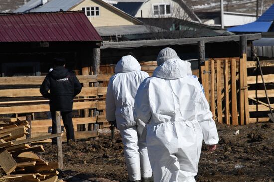 Russia African Plague Outbreak