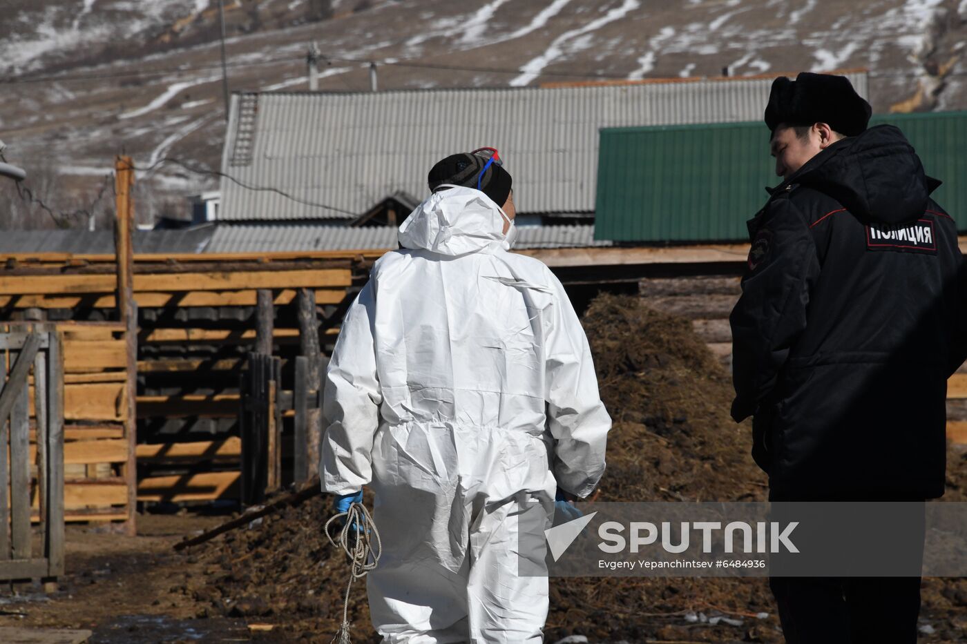 Russia African Plague Outbreak