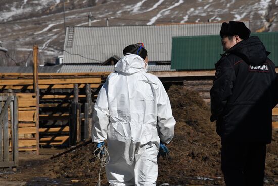 Russia African Plague Outbreak
