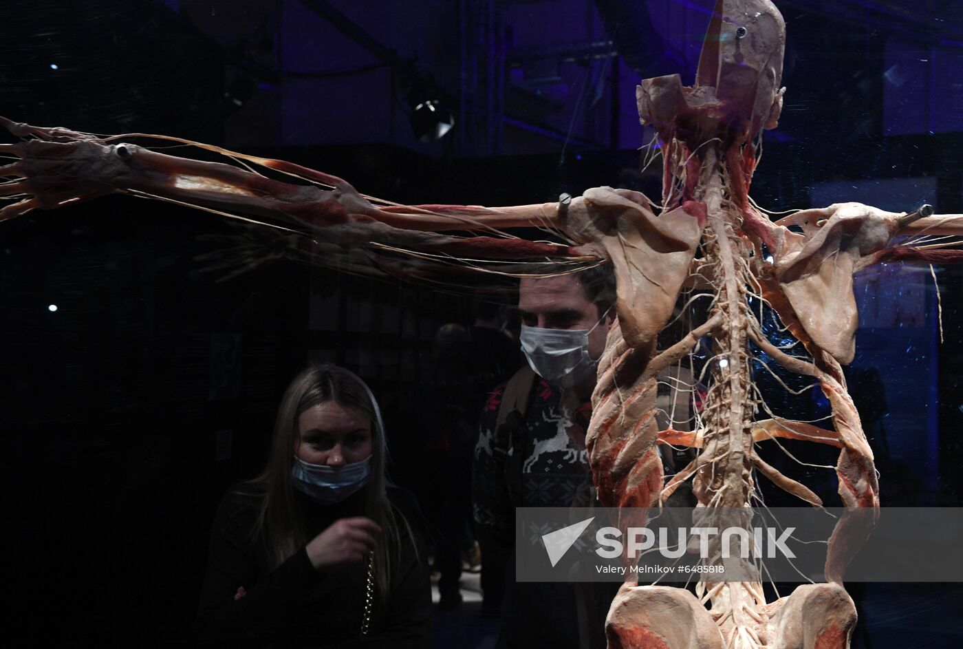Russia Body Worlds Exhibition