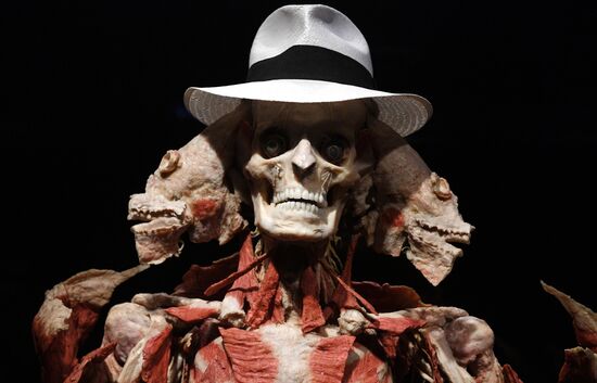 Russia Body Worlds Exhibition