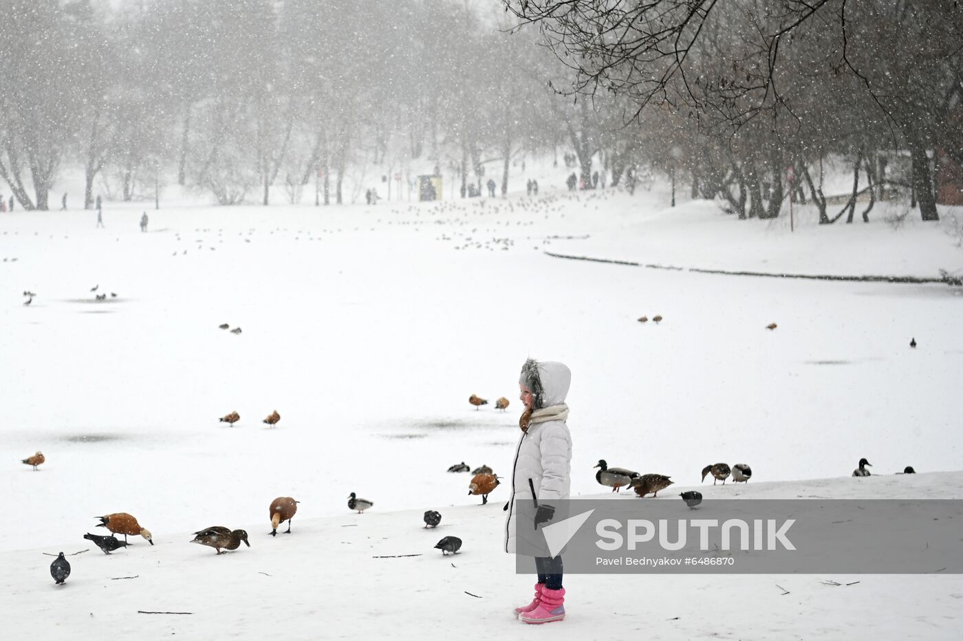 Russia Snowfall