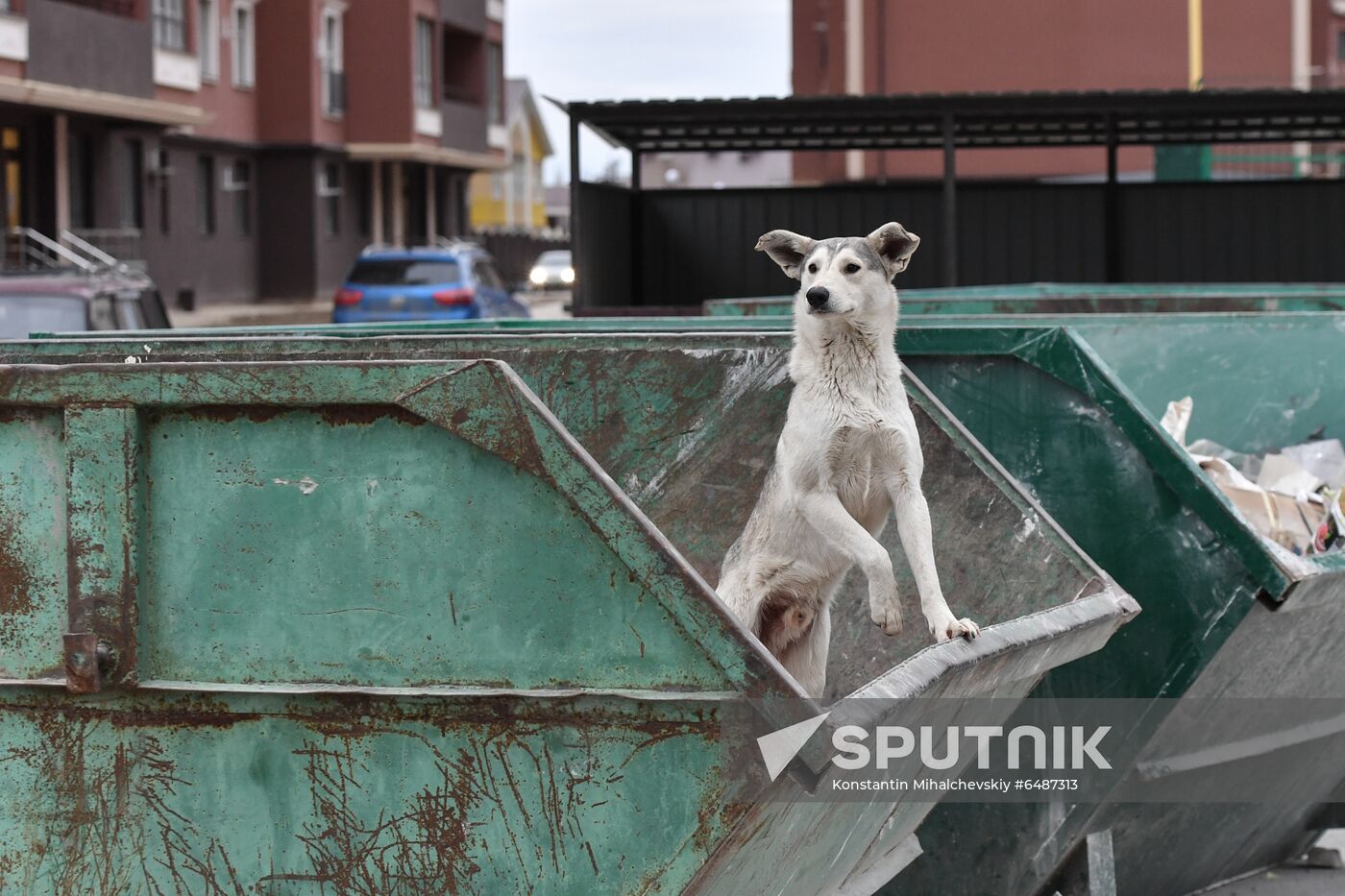 Russia Daily Life