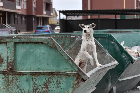 Russia Daily Life