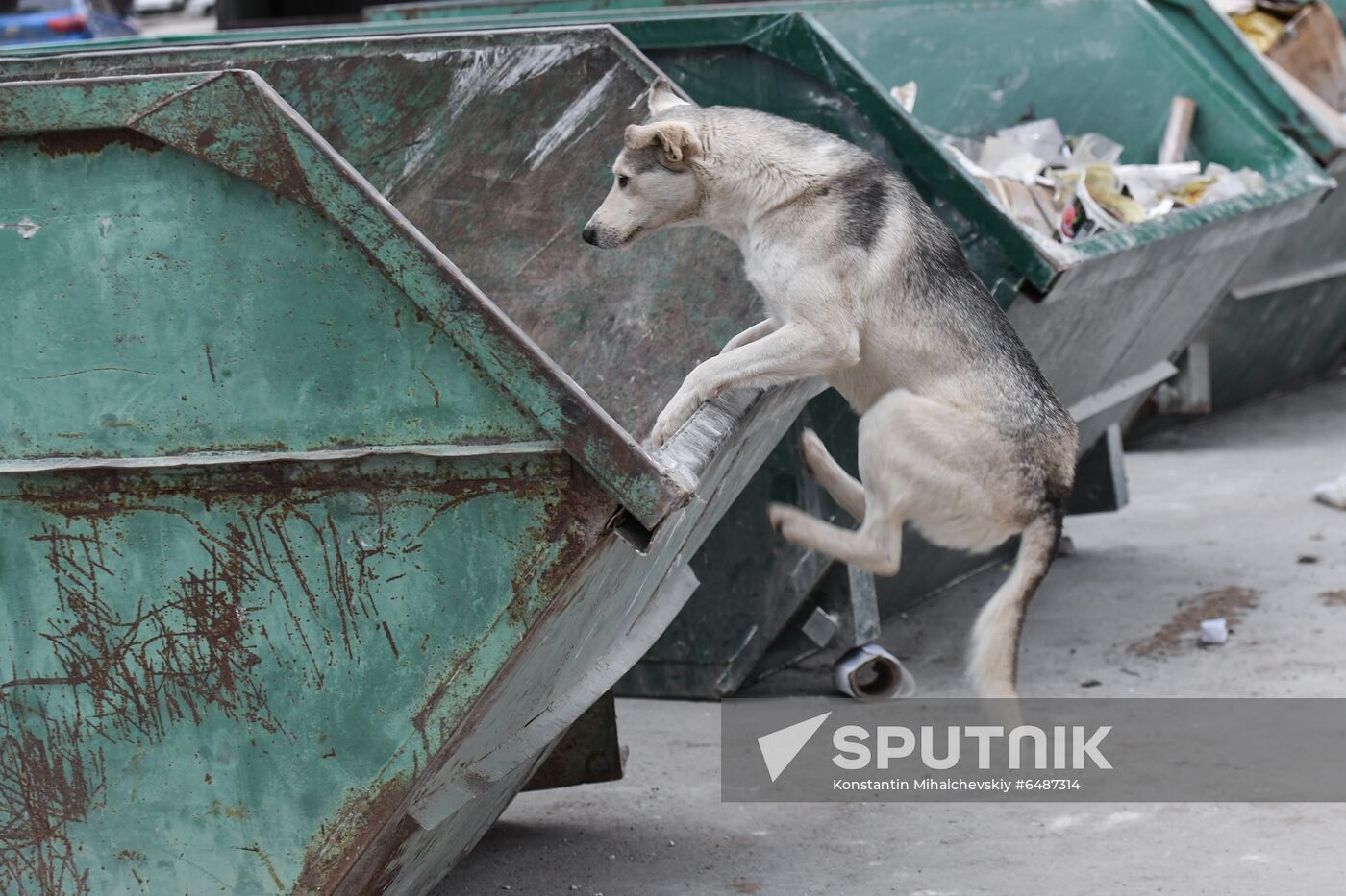Russia Daily Life