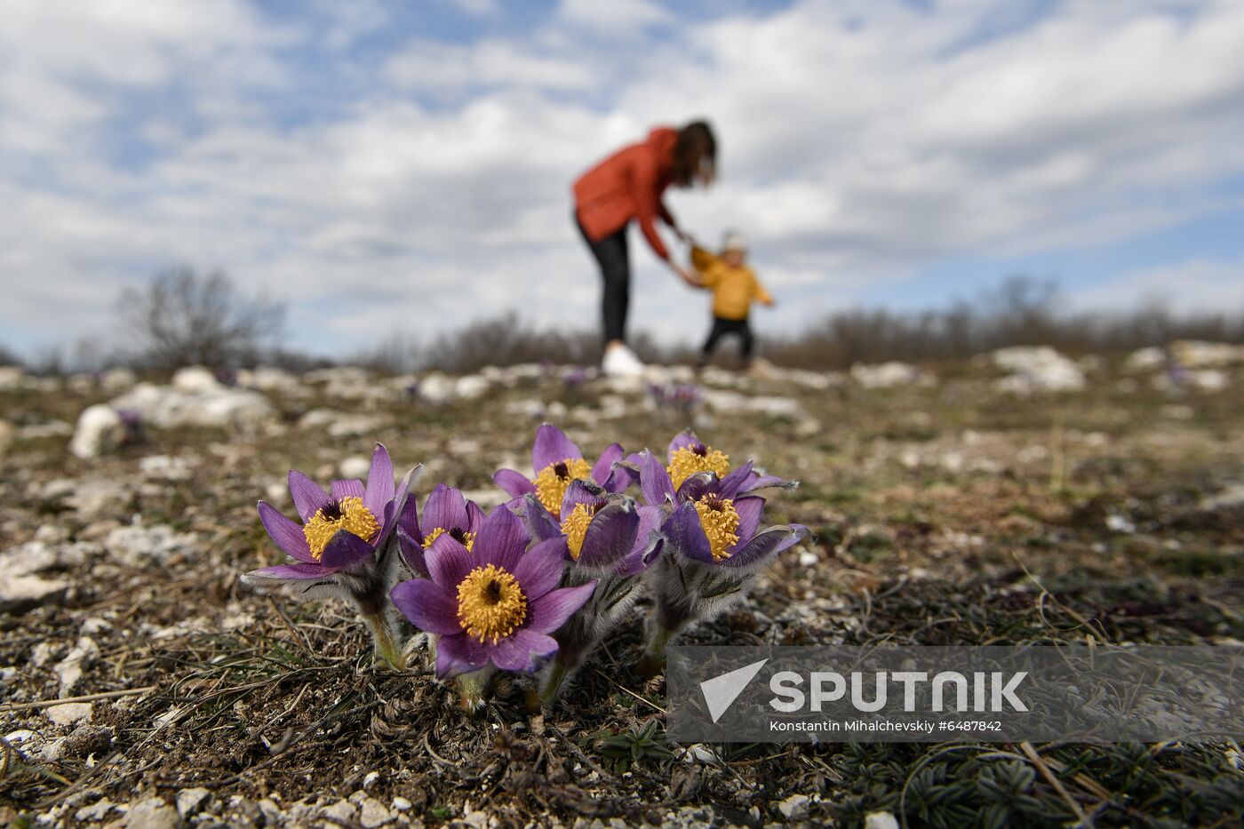 Russia Tourism