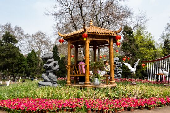 China Coronavirus Daily Life