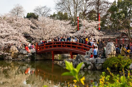 China Coronavirus Daily Life