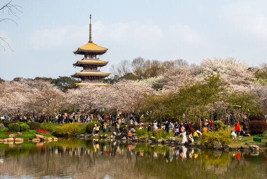 China Coronavirus Daily Life