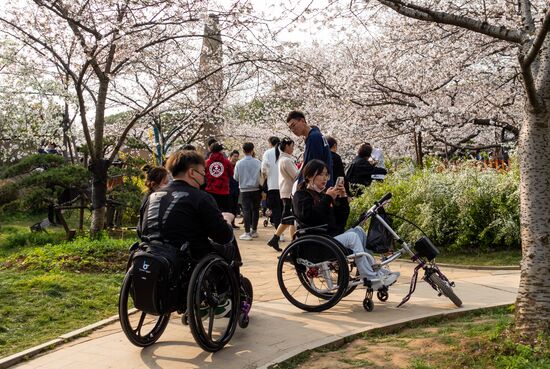 China Coronavirus Daily Life