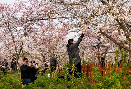 China Coronavirus Daily Life
